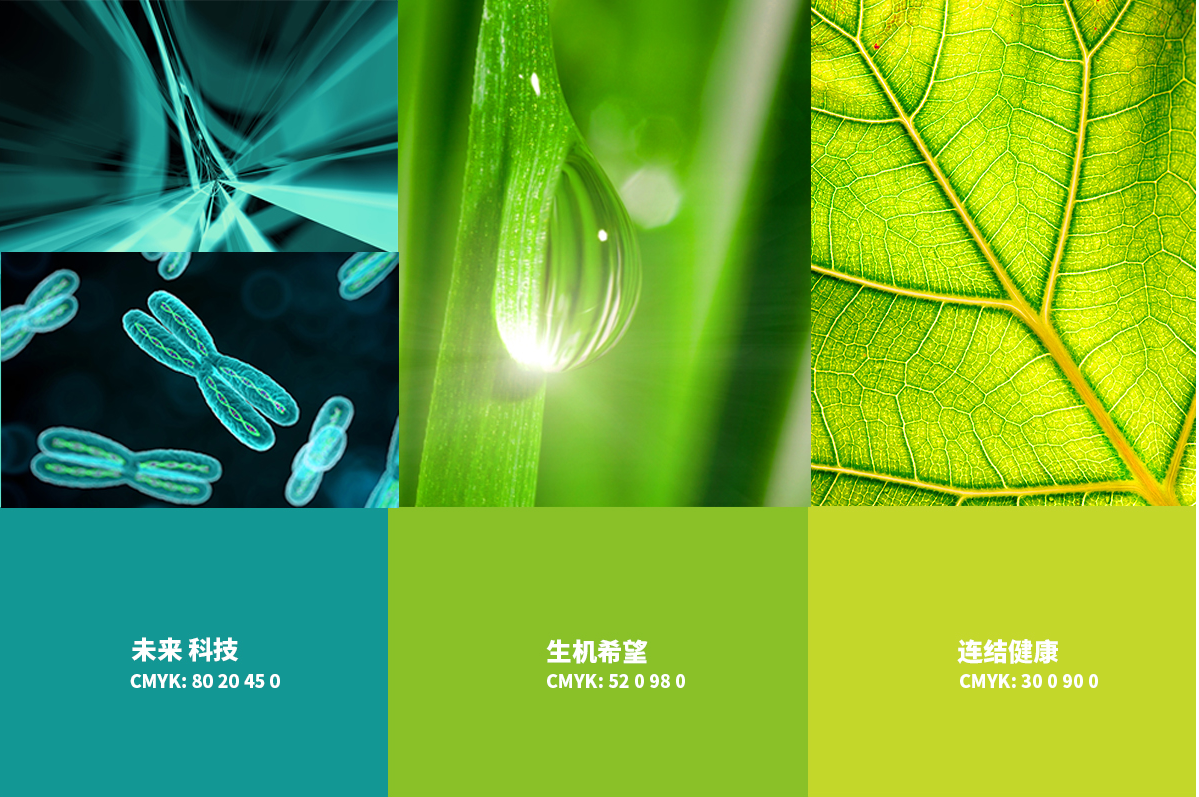 品牌案例-2-內頁(哈爾濱仁薩醫院)_07.png 品牌案例-2-內頁(哈爾濱仁薩醫院)_07.png