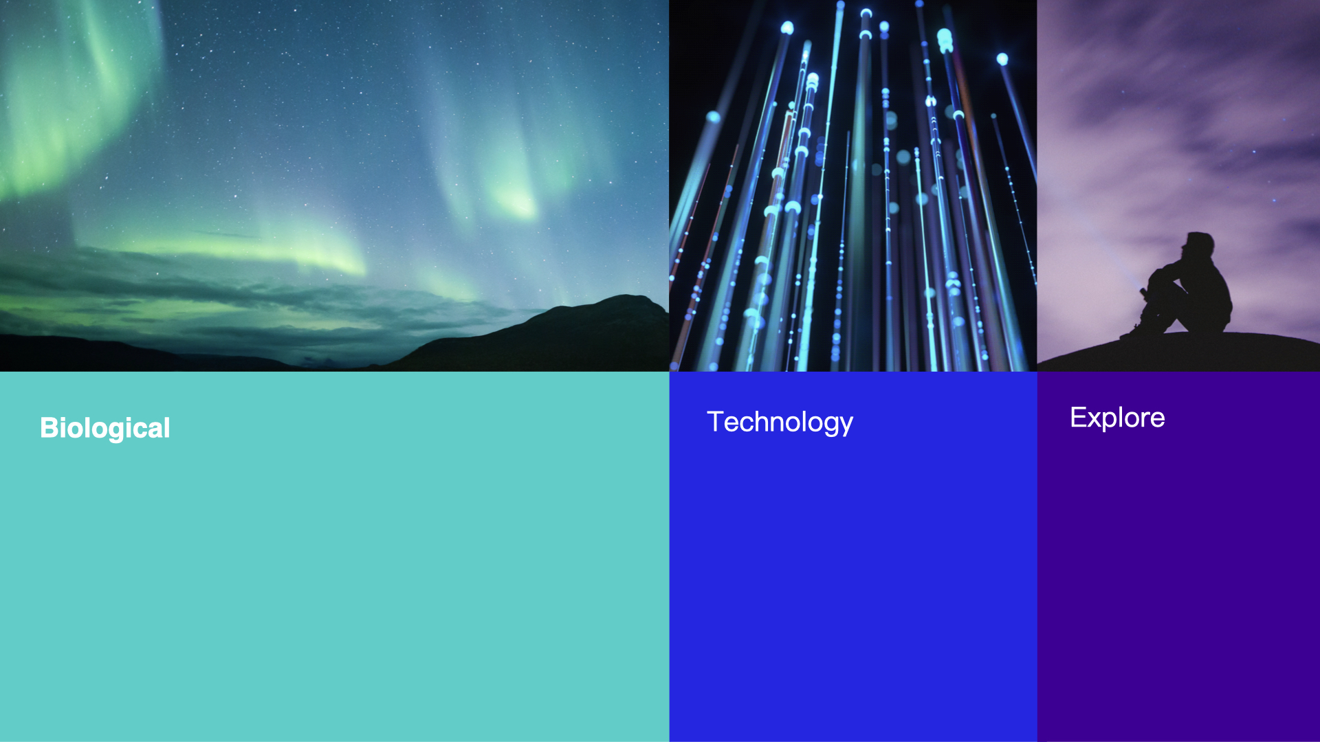 生物vi.jpg 生物vi.jpg