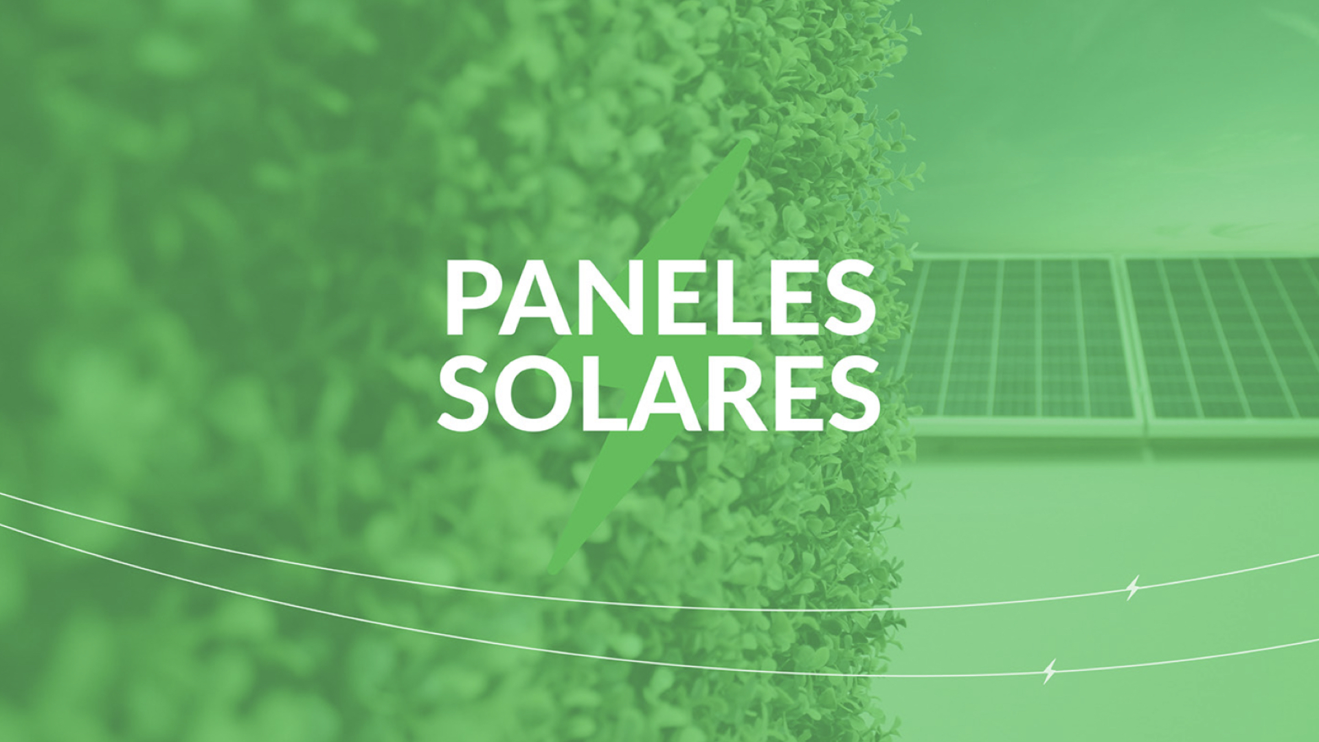 綠色能源vi設計.jpg 綠色能源vi設計.jpg