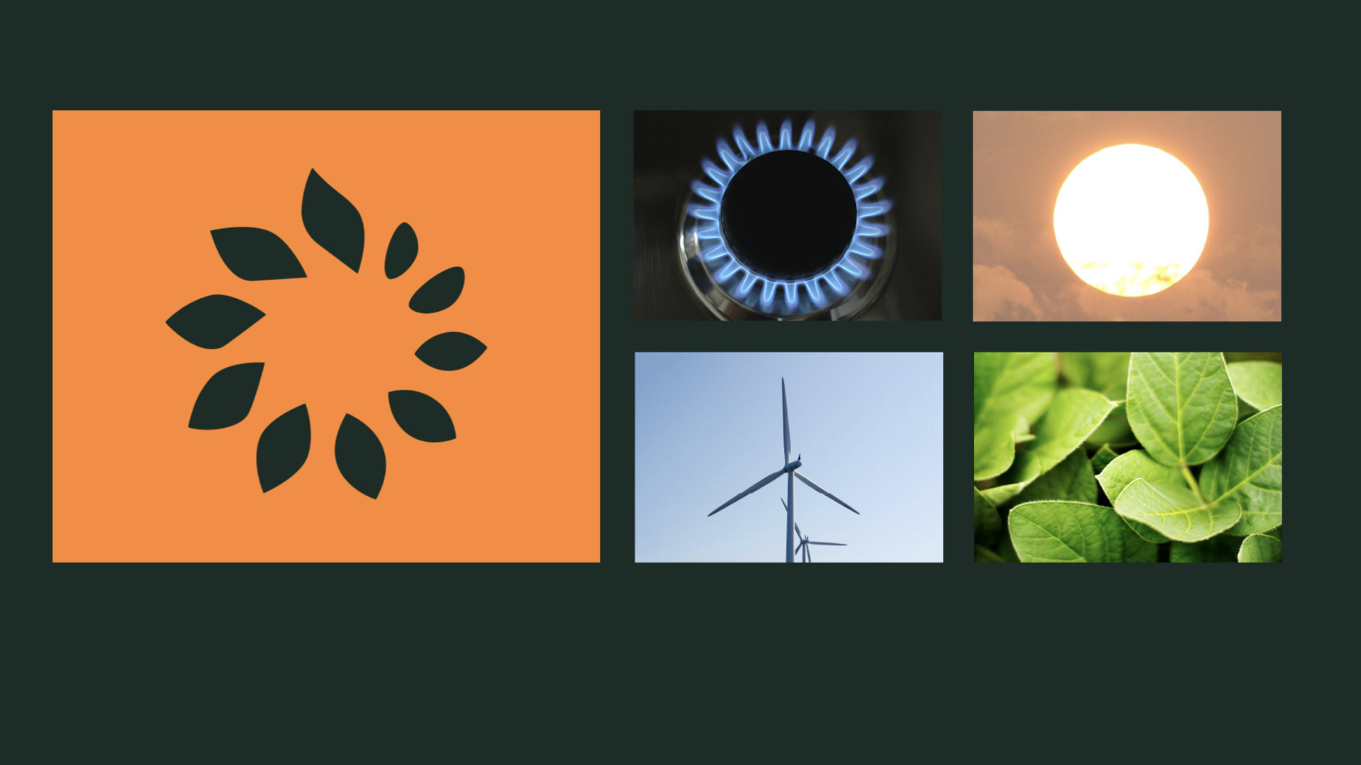 可再生能源vi設(shè)計(jì) .jpeg